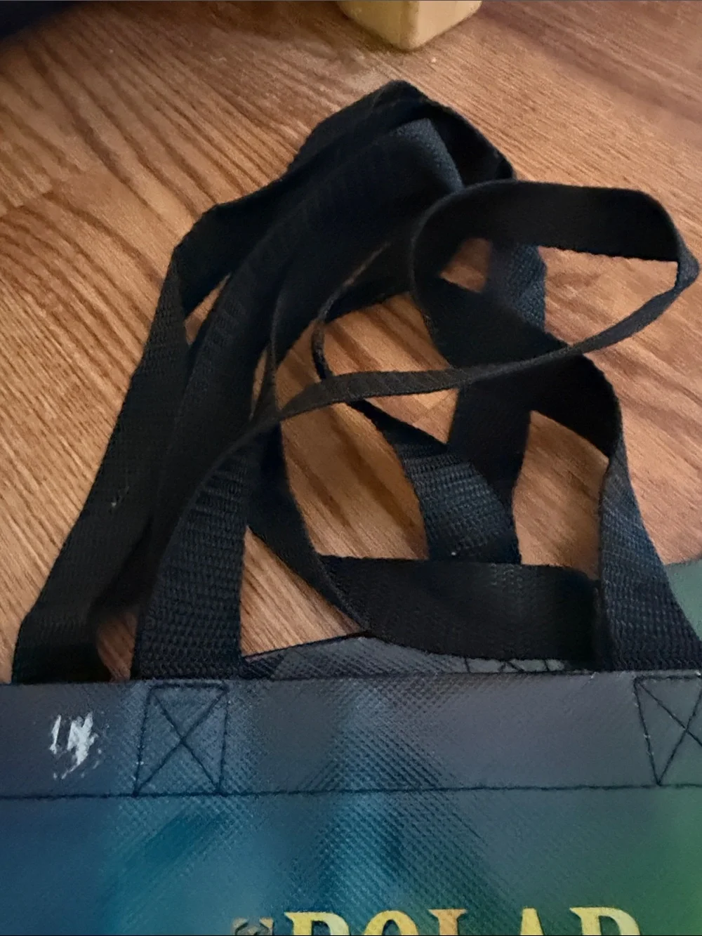 The Polar Express Duffel Tote Bag - Green/Blue